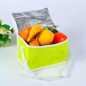 Custom Lunch Bags Neon Tinted Cooler Bag