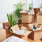 How to Move Plants Safely During Moving