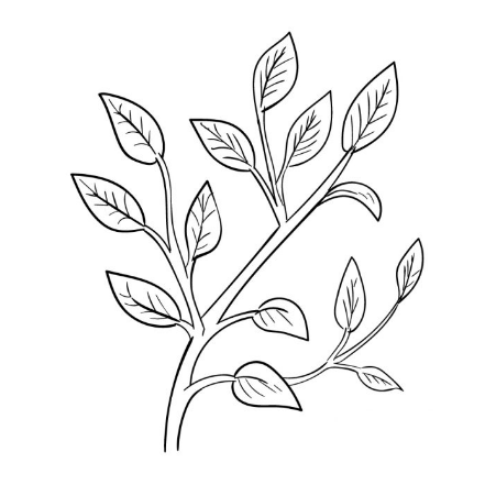 Draw Leaves On A Tree
