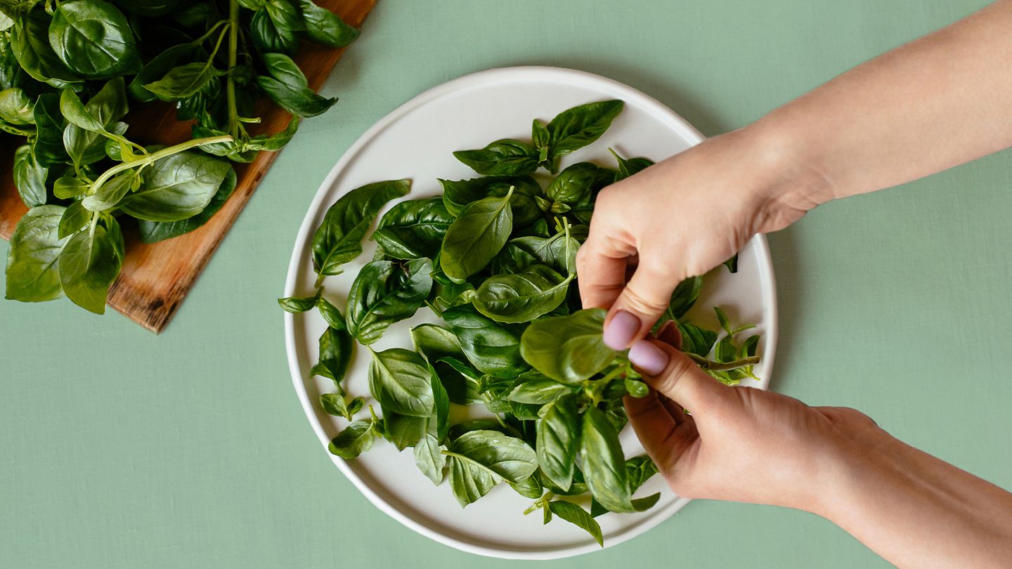 7 Benefits of Adding Herbs to Your Daily Diet