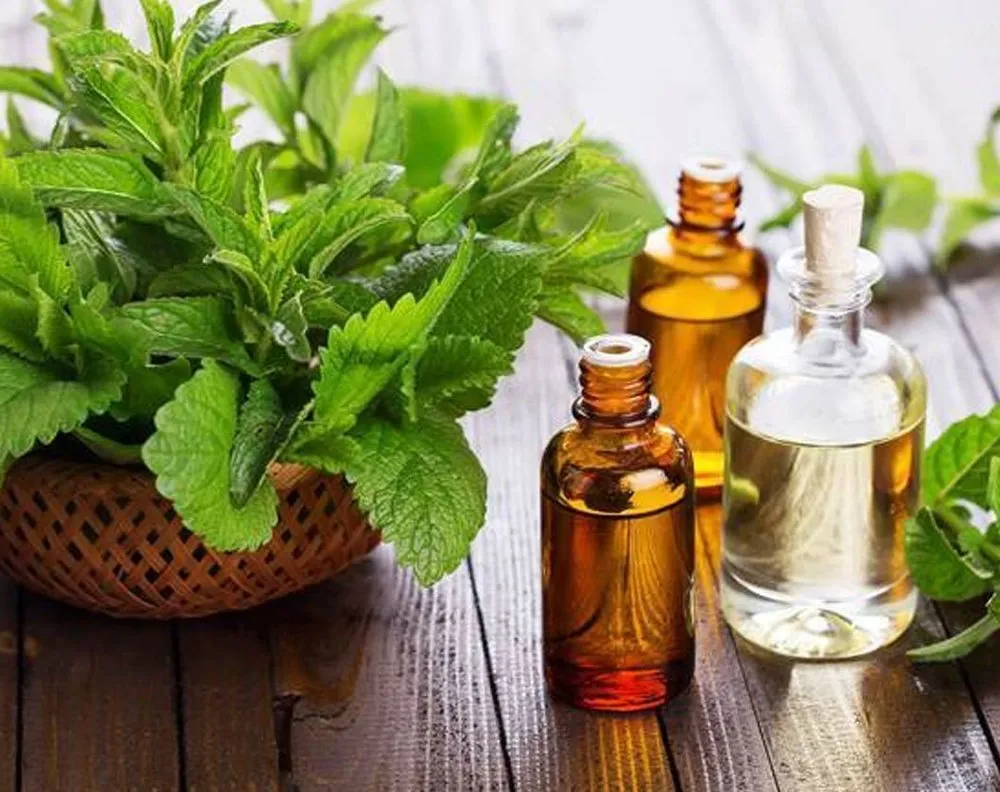 The 10 Unexpected Health Benefits Of Peppermint Oil