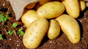 Do potatoes benefit your health in any way?