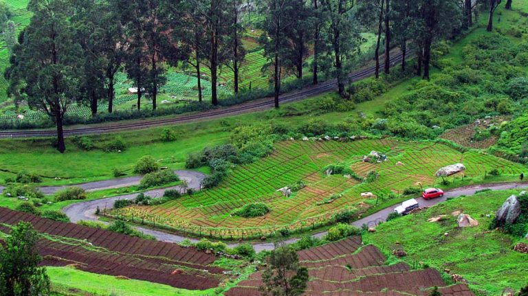 Top 7 Photoshoot Places in Ooty: Capturing Nature's Beauty | Ooty Photoshoot Locations